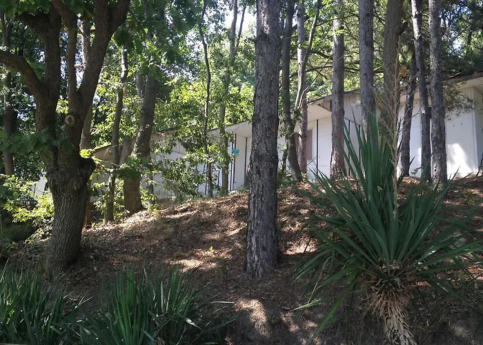 キャンプ場 Letovishte Romantika